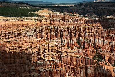Bryce Canyon : Utah : Landscape Photos : Richard Moore : Photographer